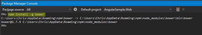 Use NPM to Install Bower